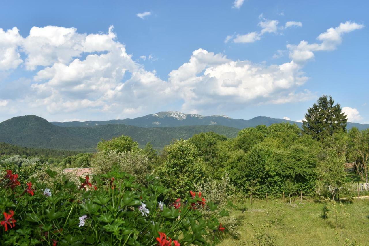 Ethno House Izvor Hotel Vrelo Koreničko Екстериор снимка